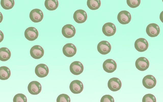 这动画，作者没吃几斤蘑菇也画不出来，里面的生物构成诡异食物链