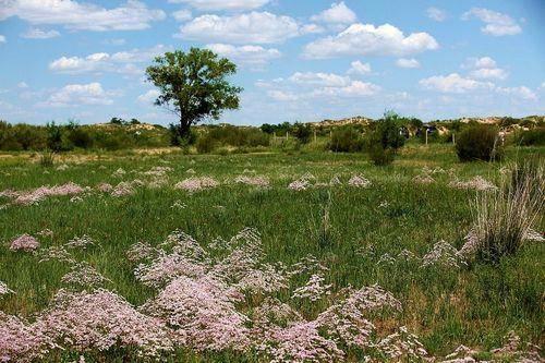 中年人的回忆杀为什么来势汹涌