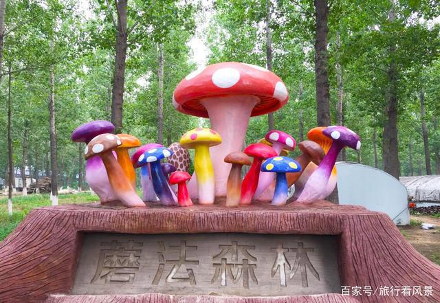 春天去郊游，北京5个户外“野地方”，适合带孩子玩一整天