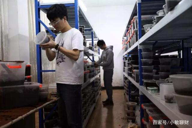 温州小伙不顾家人反对，躲进深山养3万只甲虫，最贵的要千元一只