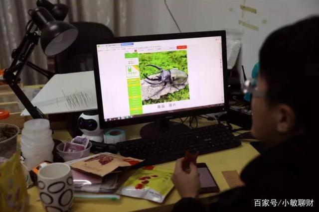 温州小伙不顾家人反对，躲进深山养3万只甲虫，最贵的要千元一只