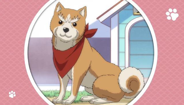 一月新番，堪比《庆余年》的穿越动漫，还不快来瞧瞧！