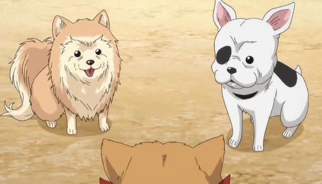 一月新番，堪比《庆余年》的穿越动漫，还不快来瞧瞧！