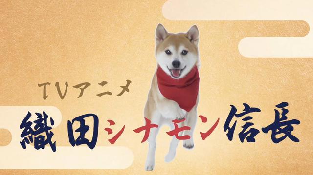 一月新番，堪比《庆余年》的穿越动漫，还不快来瞧瞧！