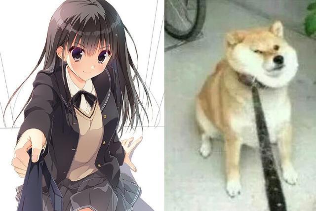 只要是妹子就都是你老婆？别想了，人家和男主都有孩子了