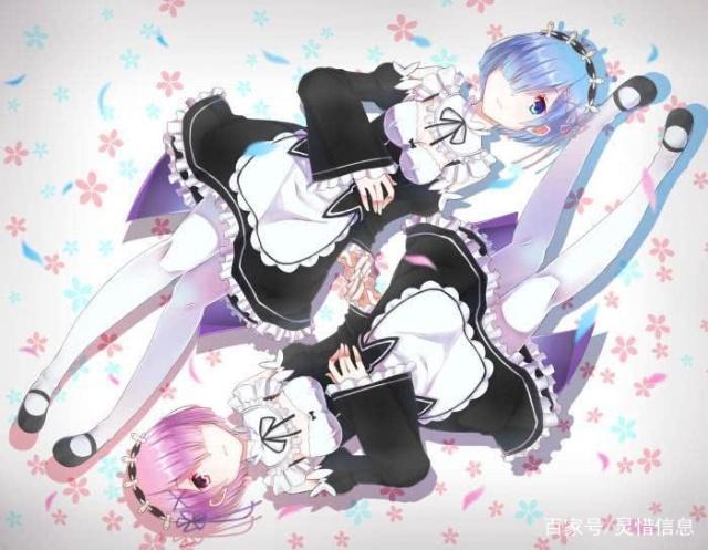 动漫迷最想抱走的双胞胎，雷姆姐妹屠榜！