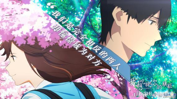 动漫《我想吃掉你的胰脏》：被剧名耽误的治愈系的剧情神作！