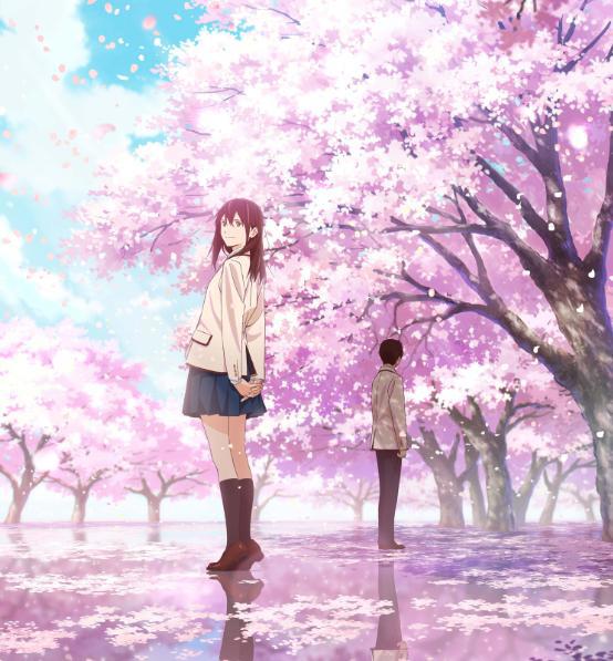 我想吃掉你的胰脏：这是我听过最甜的一句告白，活着只为遇见你