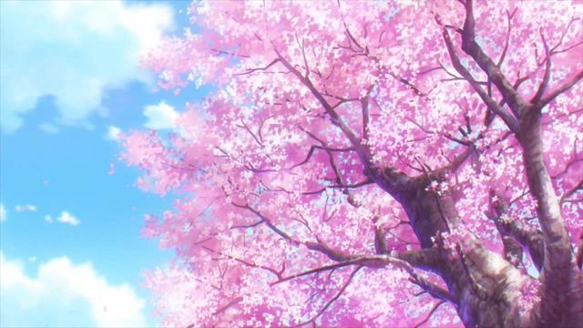 《我想吃掉你的胰脏》：樱花不再，春树依然