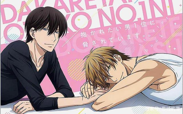 2018年最具魅力动漫角色榜，血小板登顶，西条第二，骨王无排名？