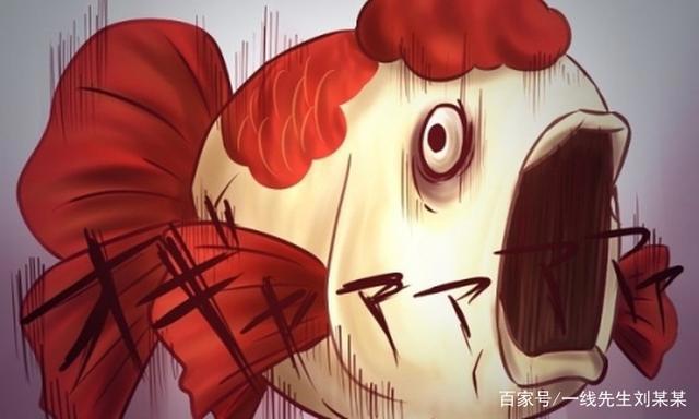 十月新番？最优动漫？国漫希望？占领你的小长假吧！（腐慎入）