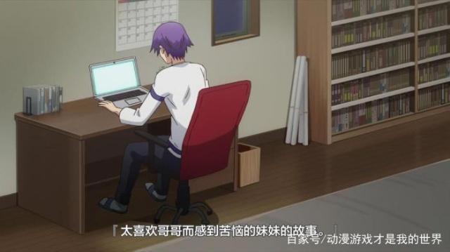 动漫简介《我喜欢的是小说里的你》