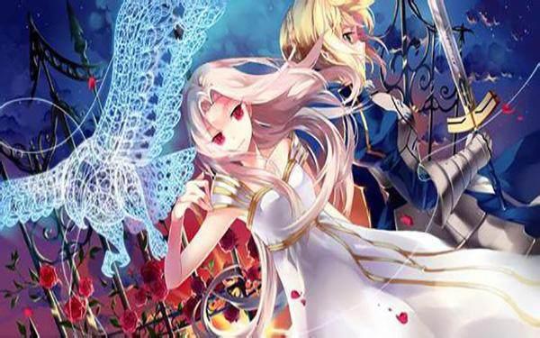 樱酱带您了解好看动漫《fate》系列中爱丽丝菲尔的故事