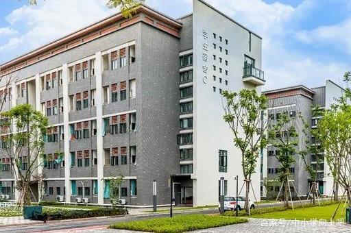 一年学费20 万，依然有很多学生挤破头也要上