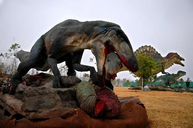 这只霸王龙真缺个牙医！口腔的感染，或让它生前没咋过好日子