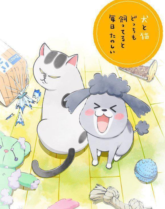 一口气追完这些好看的泡面番~