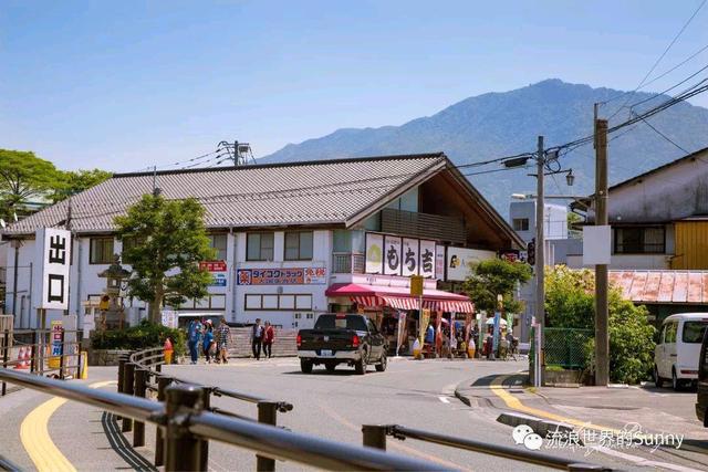 霓虹国最好的季节，去看看那花花世界～日本游