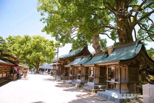 霓虹国最好的季节，去看看那花花世界～日本游