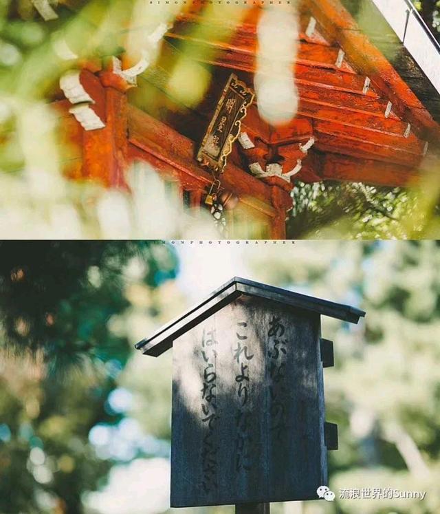 霓虹国最好的季节，去看看那花花世界～日本游