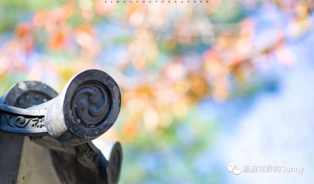 霓虹国最好的季节，去看看那花花世界～日本游