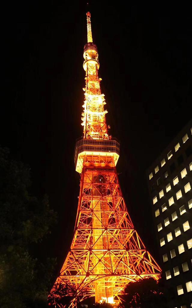 霓虹国最好的季节，去看看那花花世界～日本游