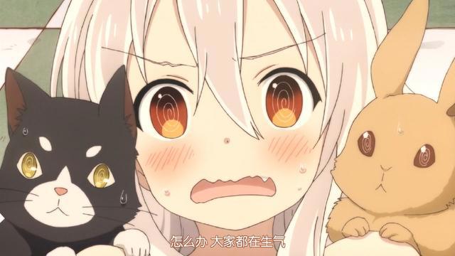 动漫中可爱的白长直萝莉，你喜欢哪一个？