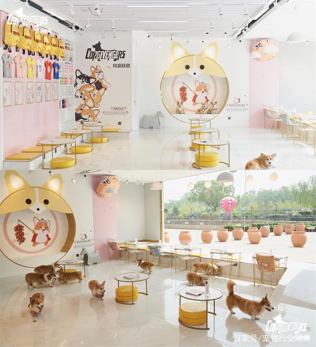 宠物业上车新机会？萌宠周边主题集市TA!Market亮相它博会宠物展
