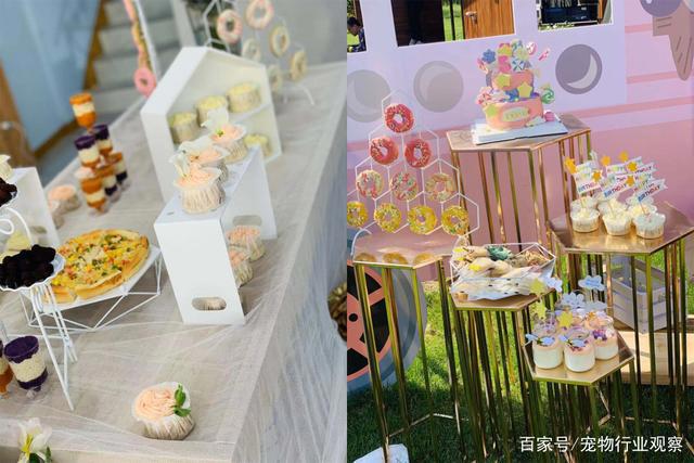 宠物业上车新机会？萌宠周边主题集市TA!Market亮相它博会宠物展