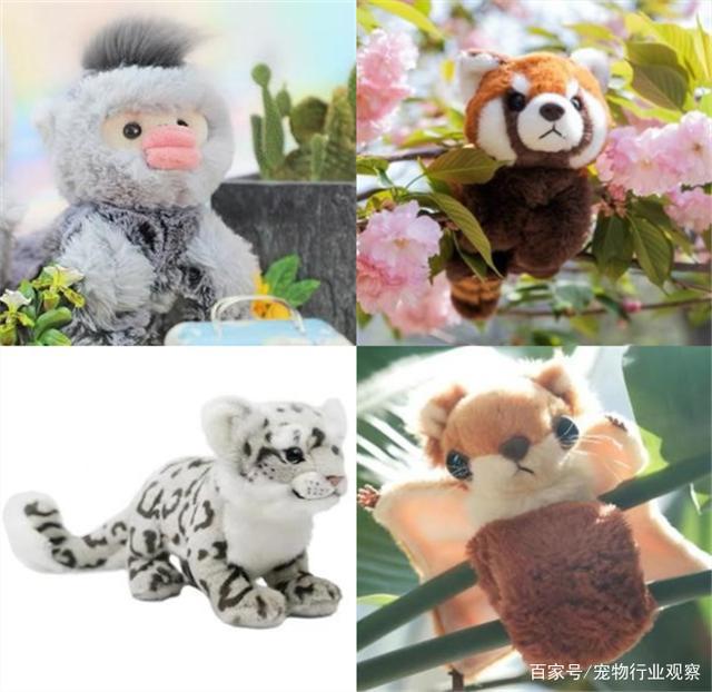 宠物业上车新机会？萌宠周边主题集市TA!Market亮相它博会宠物展