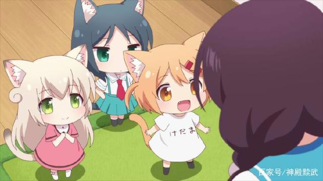 黩武乱评动漫-盘点十部萝莉番