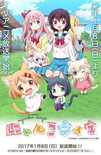 非常好看的动漫番！苍天之拳