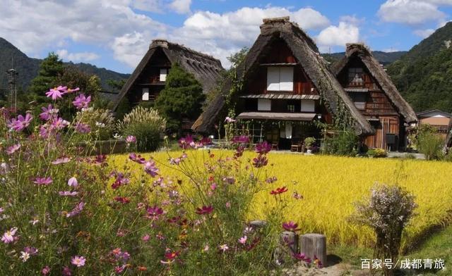 云游世界第一站，日本的奇妙物语