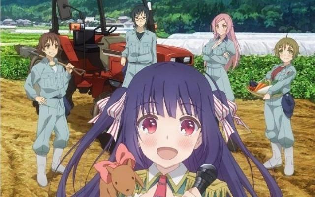 动漫：千万不要观看这些后宫番，容易上瘾！