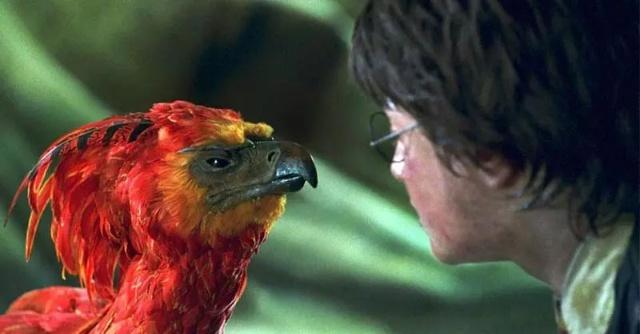 除了中国神兽驺吾《神奇动物2》里还有这些神奇生物