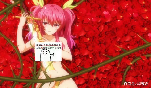 落第骑士：B站超大尺度动画，官方开车，就在B站