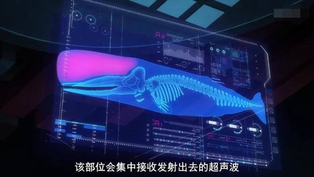 四月新番：这部动漫女主果然有问题，估计身体被改造过！