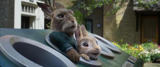 郭麒麟开口笑翻配音间，《比得兔2：逃跑计划》成端午档必看