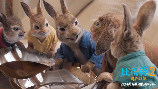 《比得兔2：逃跑计划》明日上映观众大赞称其解压治愈欢乐不断