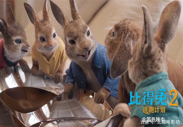 《比得兔2：逃跑计划》爆笑不断，影片好评如潮，寓意引人共鸣