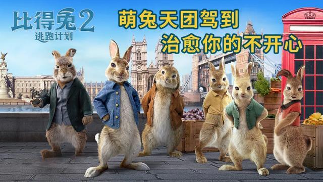 萌兔天团来袭，《比得兔2：逃跑计划》治愈你的不开心