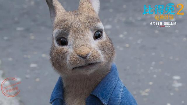 《比得兔2：逃跑计划》：英式皮囊下的美式动画