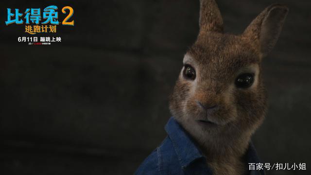 兔兔全员可爱治愈满分，《比得兔2：逃跑计划》端午解压就看它