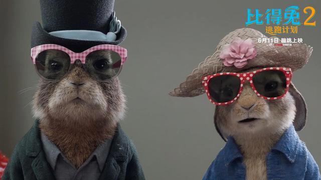 《比得兔2：逃跑计划》萌兔天团登场，笑点频出治愈忧伤