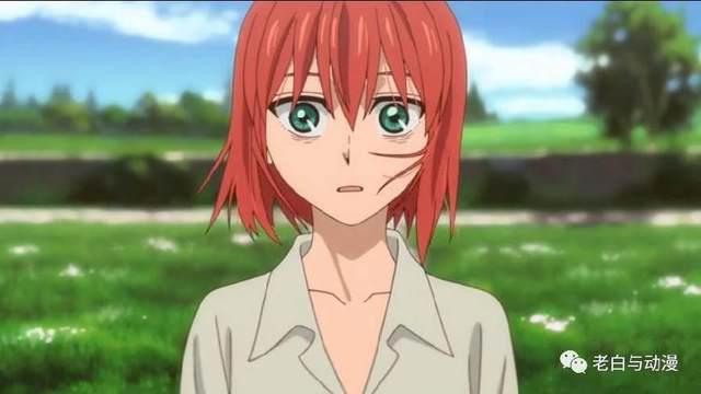 新番测评｜《魔法使的新娘》