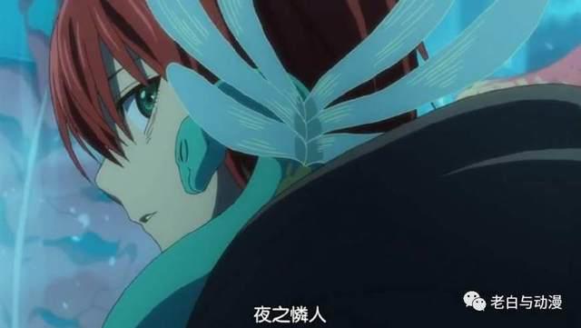 新番测评｜《魔法使的新娘》