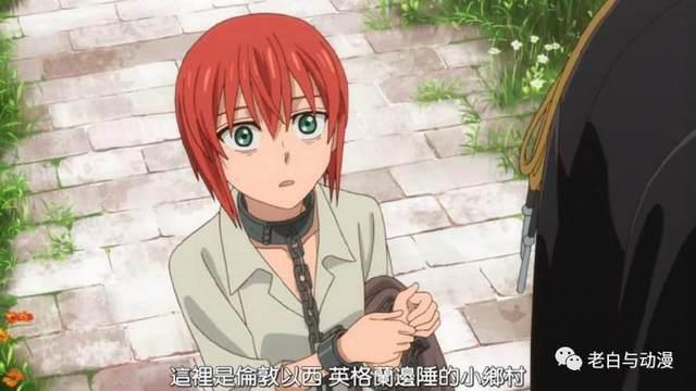 新番测评｜《魔法使的新娘》