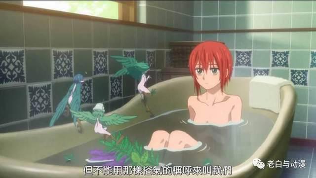 新番测评｜《魔法使的新娘》