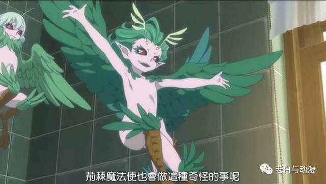新番测评｜《魔法使的新娘》