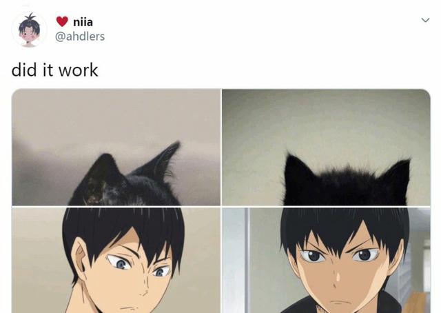 当动漫人物被恶搞为鸡冠猫耳头，兵长冷酷无情，平泽唯可爱呆萌