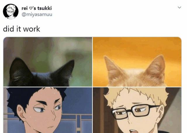 当动漫人物被恶搞为鸡冠猫耳头，兵长冷酷无情，平泽唯可爱呆萌